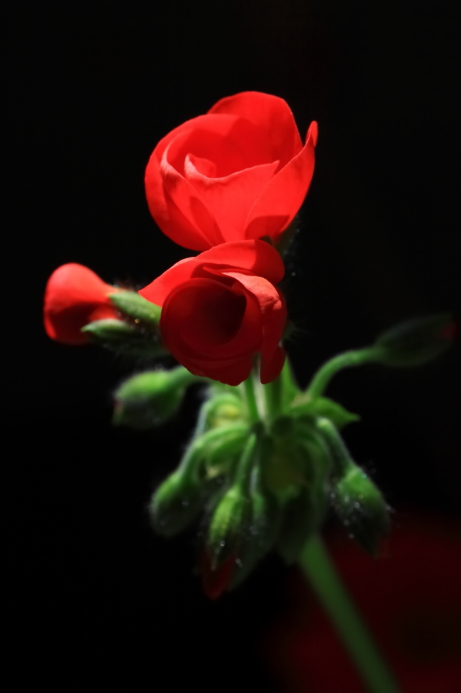 2012 03 06 7807
